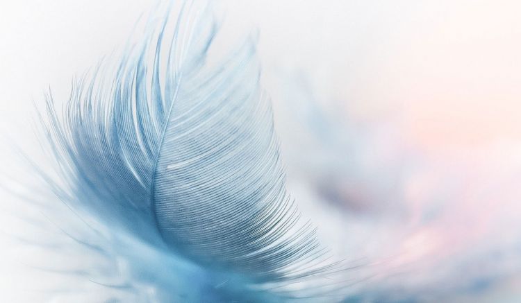 Прости. Избери любовта. Ще видиш, животът ти ще се промени. Започни още днес...