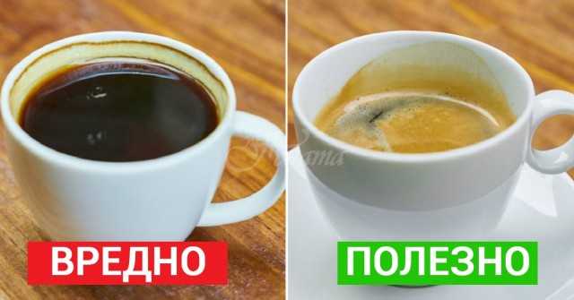 7 важни факта, които всеки, който пие кафе трябва да знае