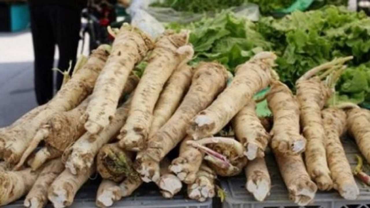 Предотвратява рака и заболяванията на костите: най-полезният корен