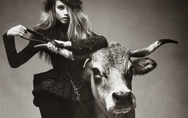 Хората зодия Телец: Стабилни и талантливи във всяко отношение – най-големите предимства на Телците