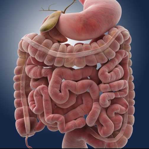 Вие ще бъдете изумени какво ще излезе от червата ви! Яжте това ястие за вечеря за 3 дни!