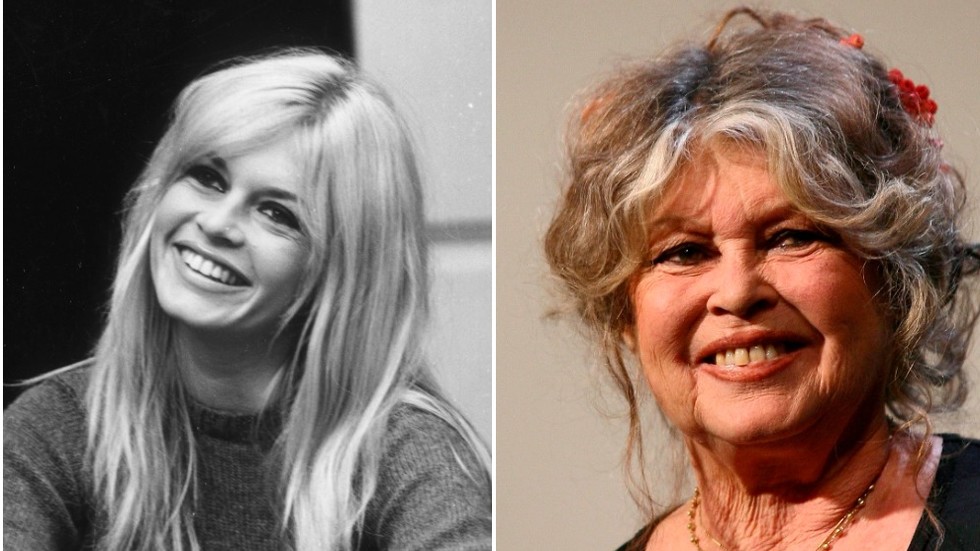 Светът се моли за Бриджит Бардо, тя е с тежко заболяване, приета в болница